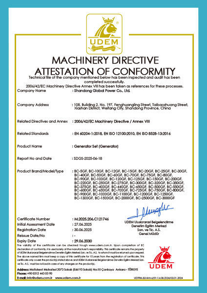 certificate (13)